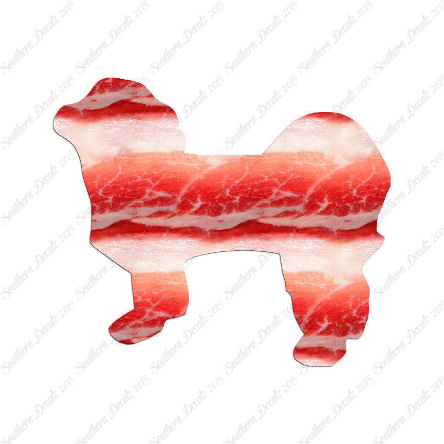 Shih Tzu Dog Breed