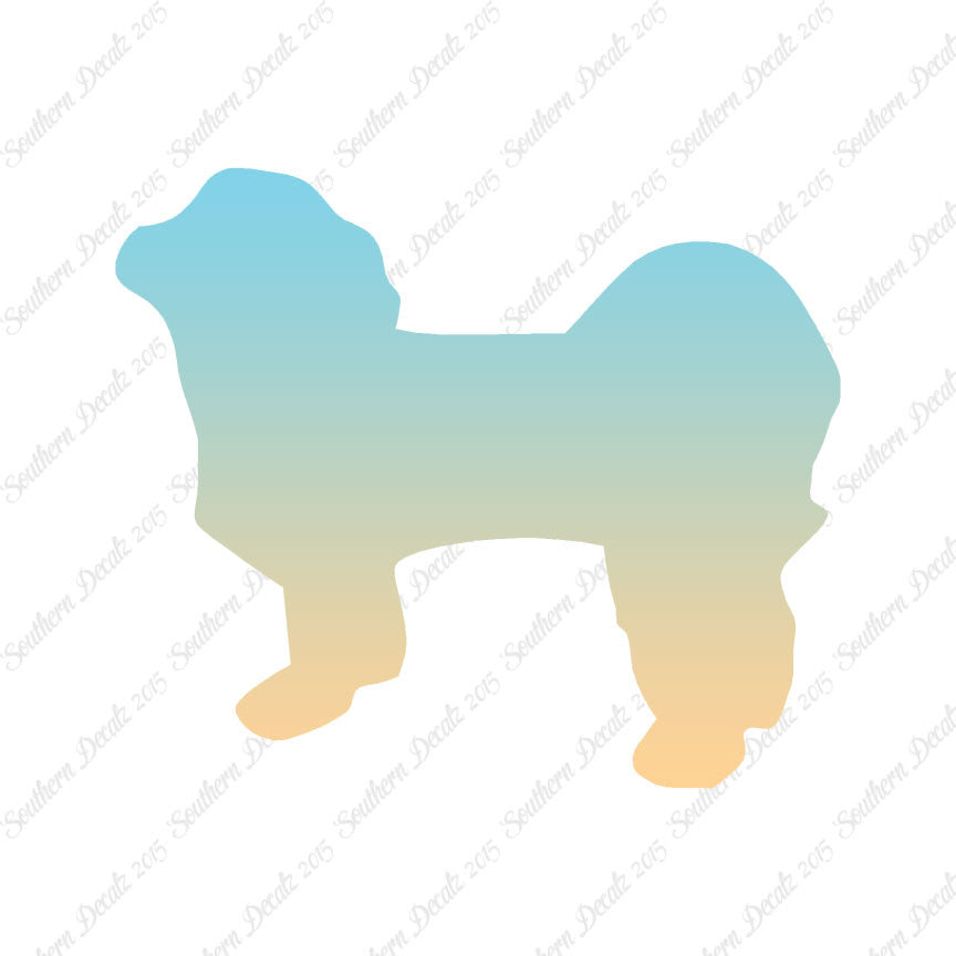 Shih Tzu Dog Breed