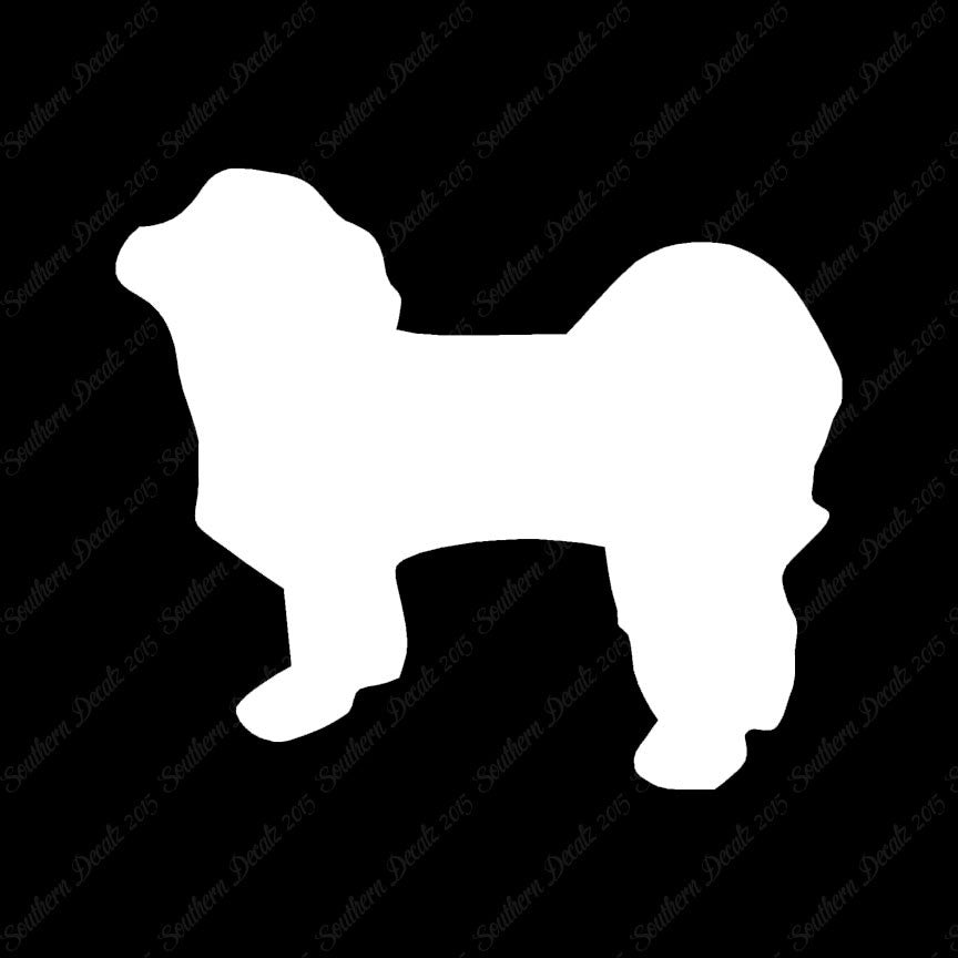 Shih Tzu Dog Breed