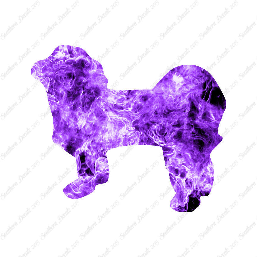 Shih Tzu Dog Breed