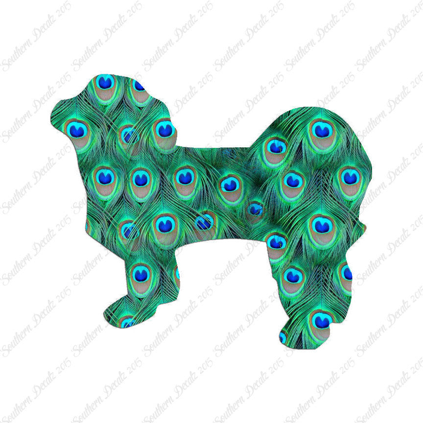 Shih Tzu Dog Breed