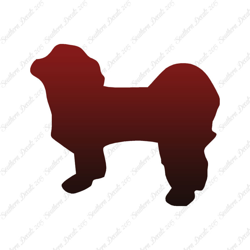 Shih Tzu Dog Breed