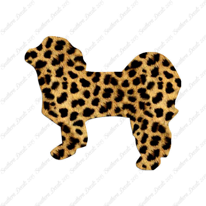 Shih Tzu Dog Breed