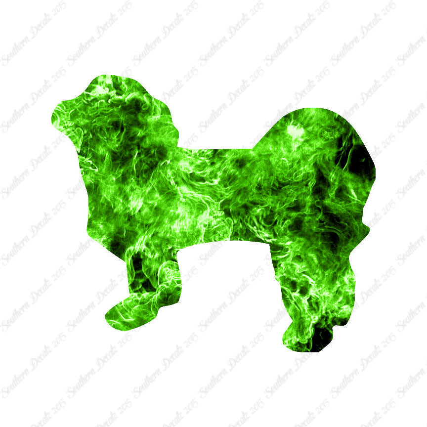 Shih Tzu Dog Breed