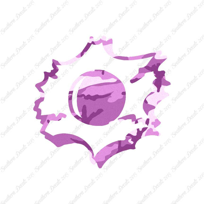 Bullet Hole