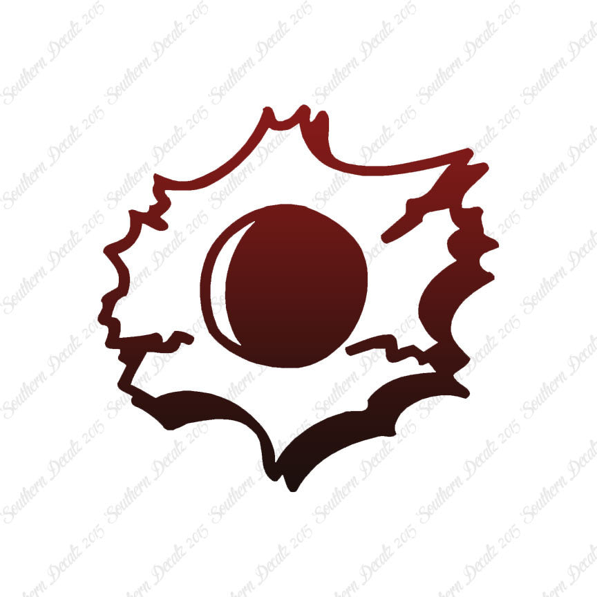 Bullet Hole