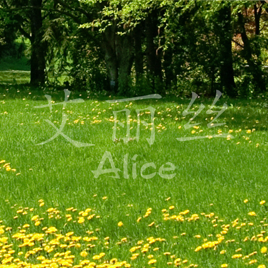 Chinese Name Symbols "Alice"