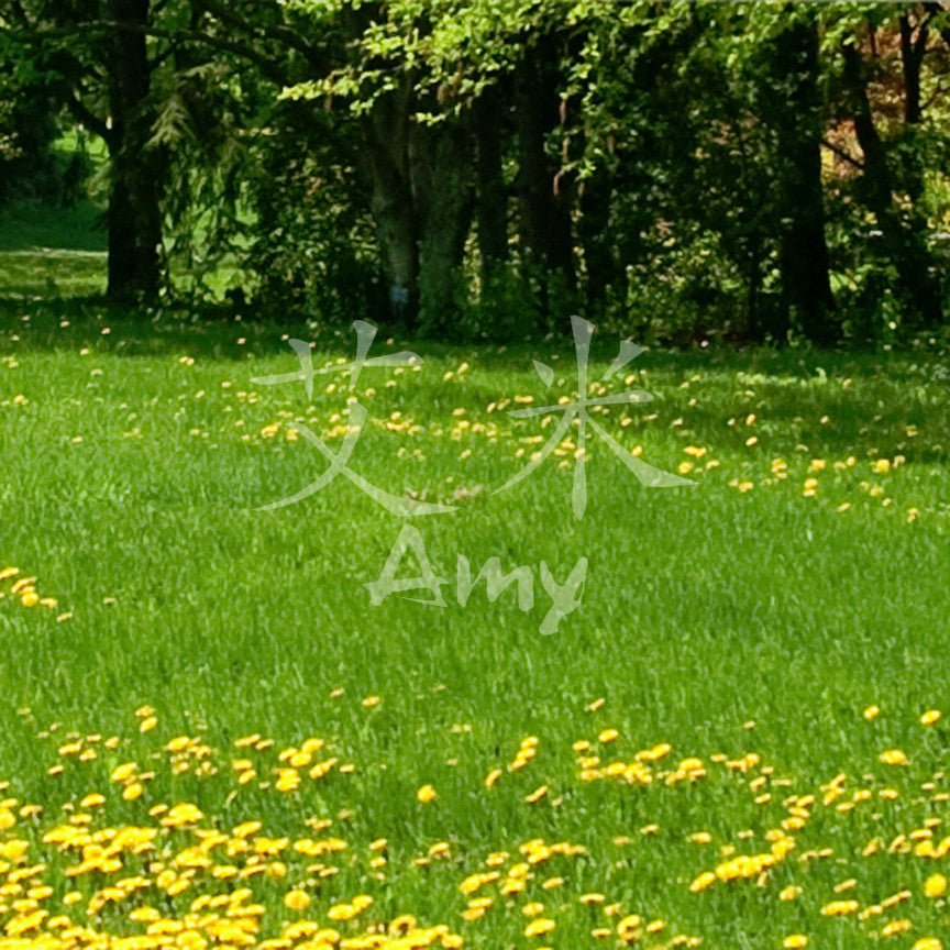 Chinese Name Symbols "Amy"