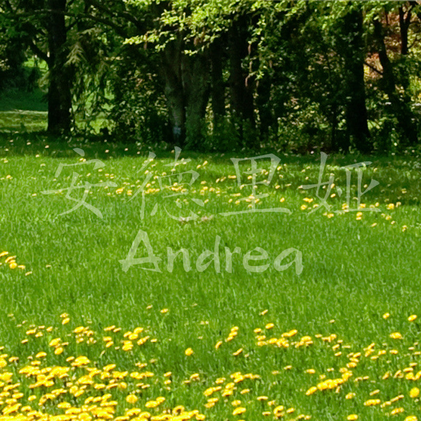 Chinese Name Symbols "Andrea"
