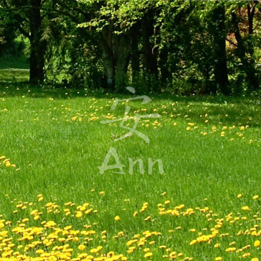 Chinese Name Symbols "Ann"