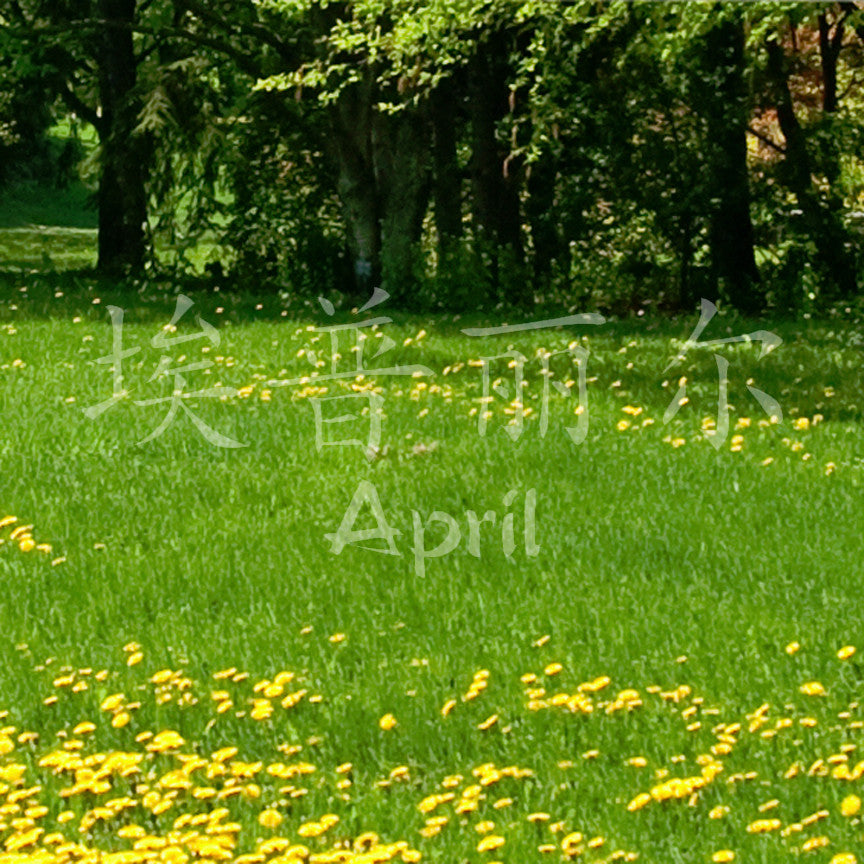Chinese Name Symbols "April"