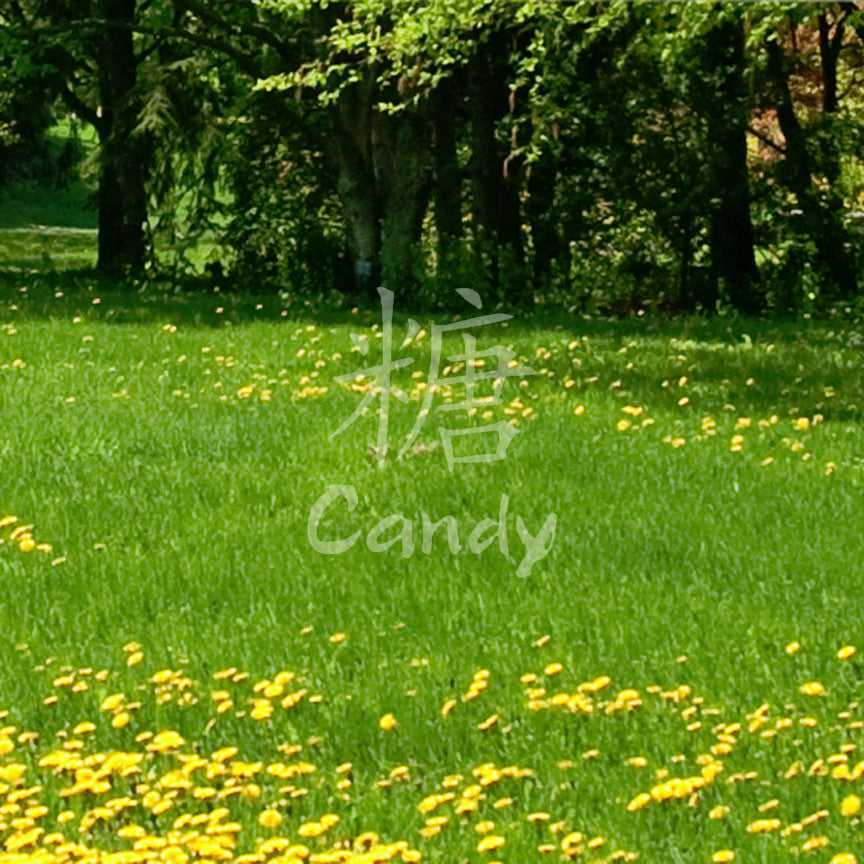 Chinese Name Symbols "Candy"