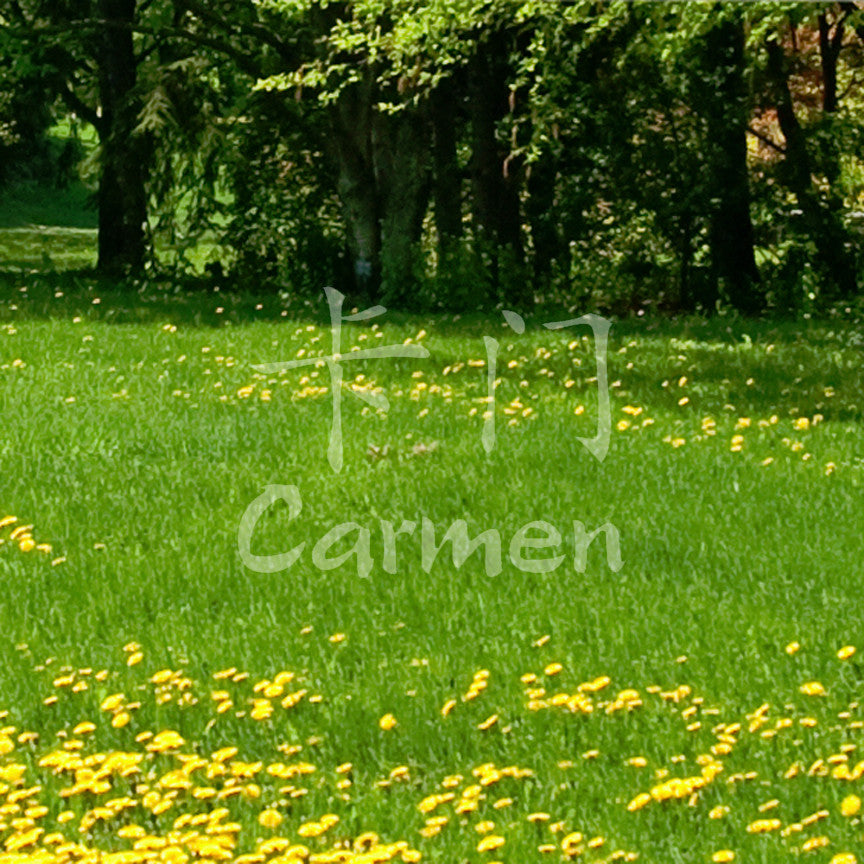 Chinese Name Symbols "Carmen"
