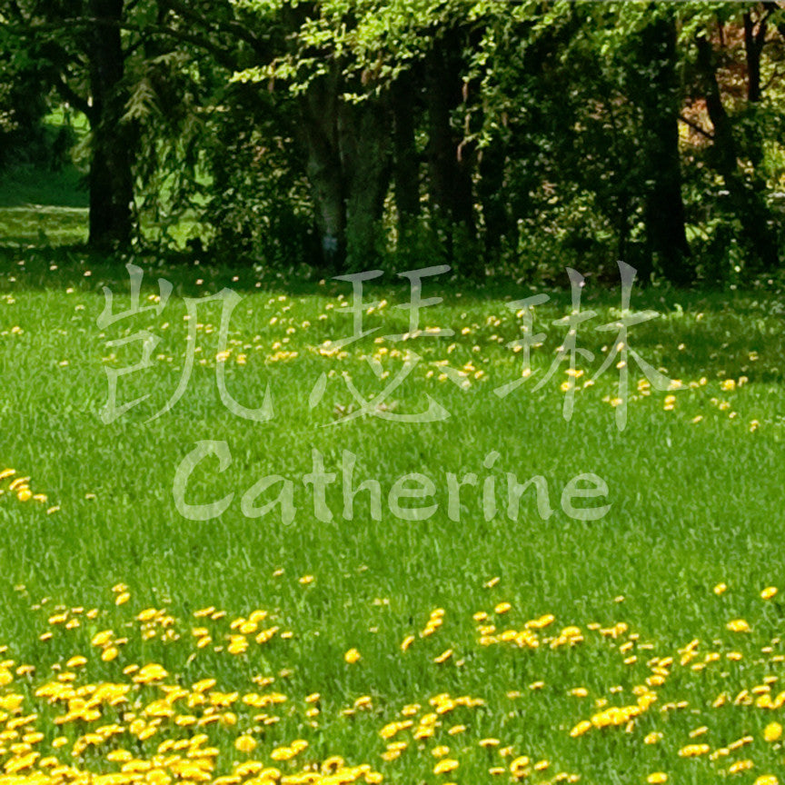 Chinese Name Symbols "Catherine"
