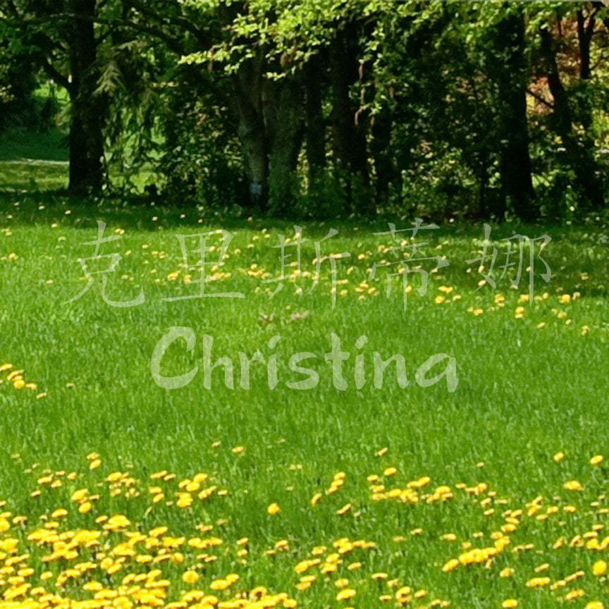 Chinese Name Symbols "Christina"