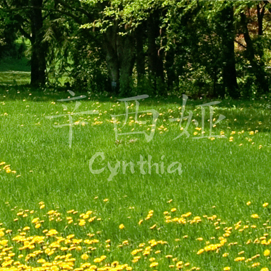 Chinese Name Symbols "Cynthia"