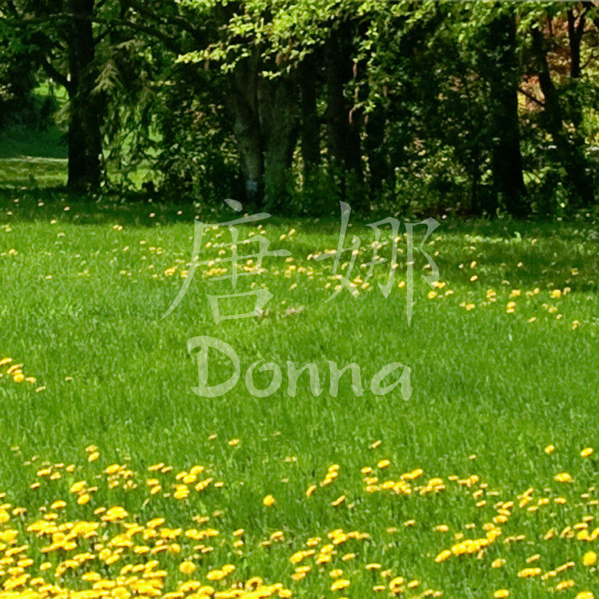Chinese Name Symbols "Donna"