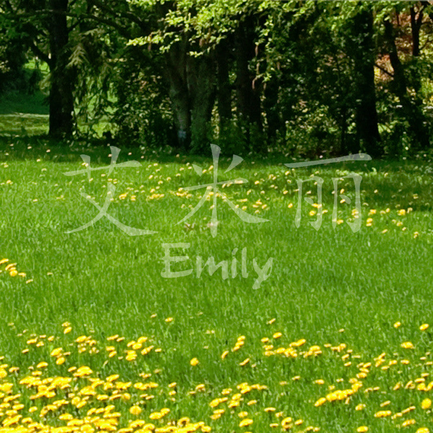 Chinese Name Symbols "Emily"