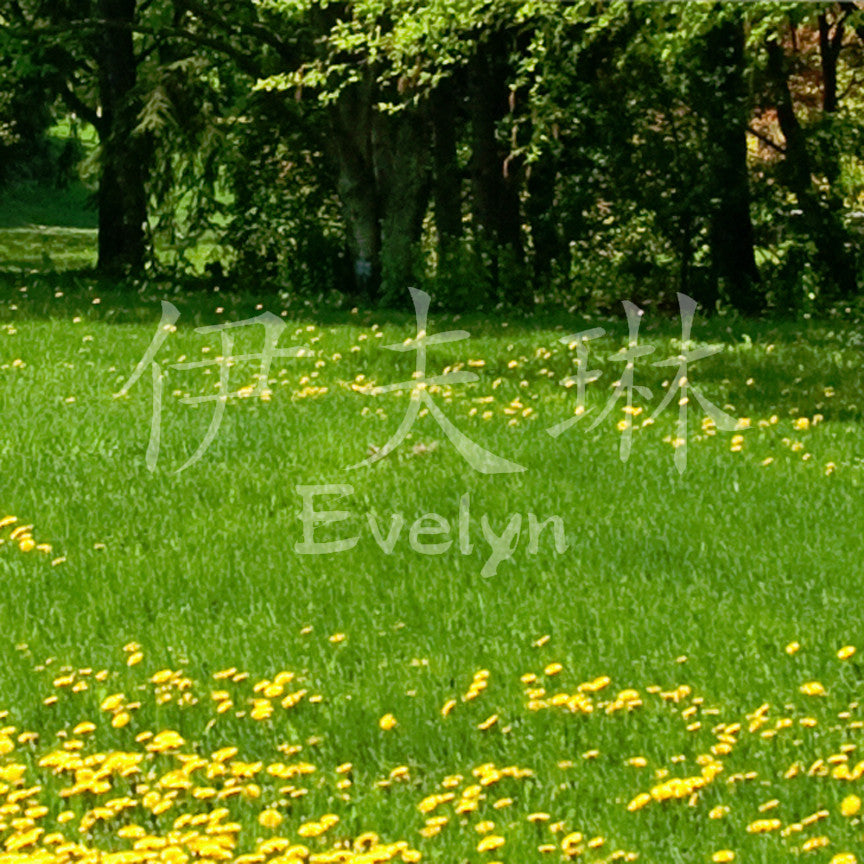 Chinese Name Symbols "Evelyn"