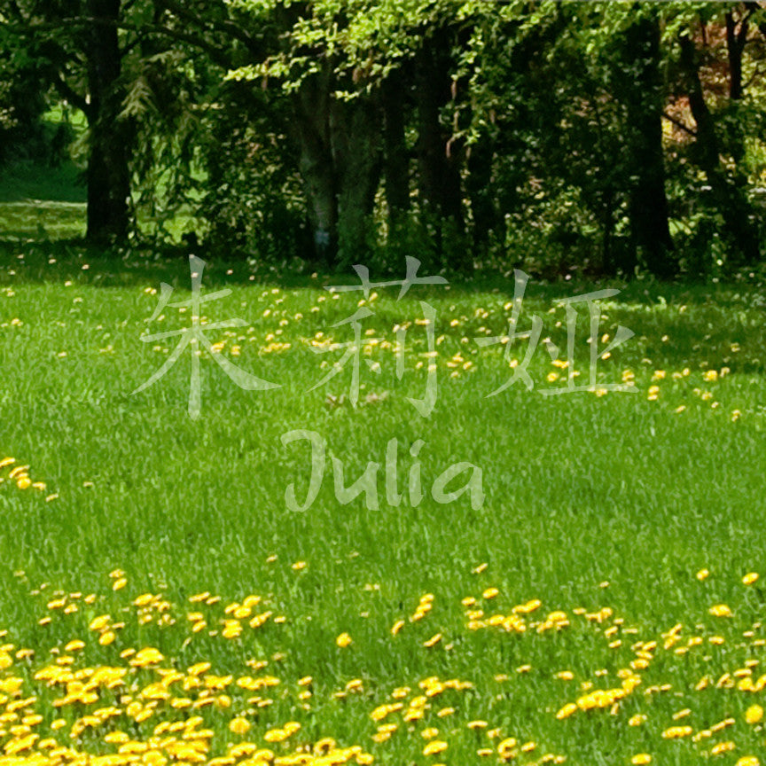 Chinese Name Symbols "Julia"