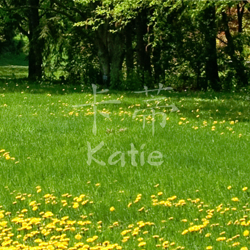 Chinese Name Symbols "Katie"
