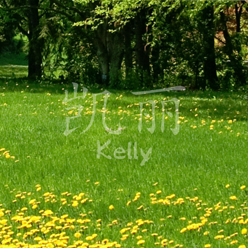 Chinese Name Symbols "Kelly"