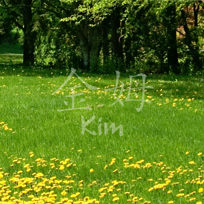 Chinese Name Symbols "Kim"