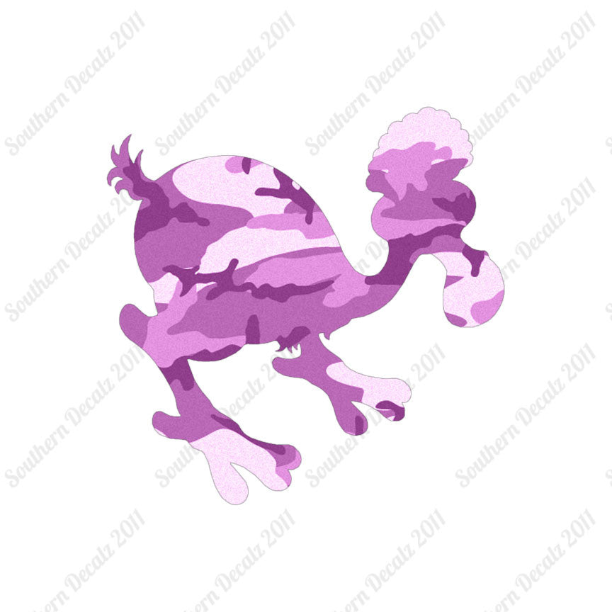 Dodo Bird Kiwi