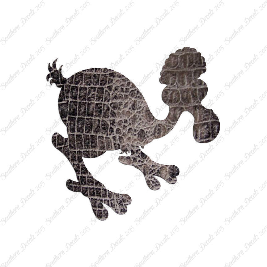 Dodo Bird Kiwi