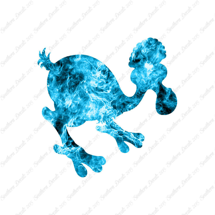 Dodo Bird Kiwi