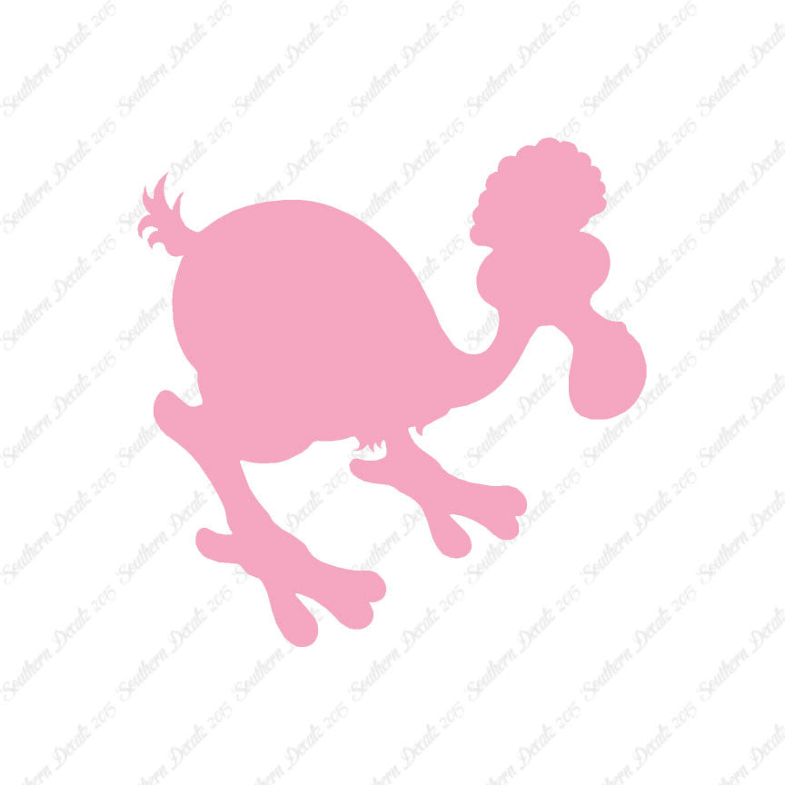 Dodo Bird Kiwi