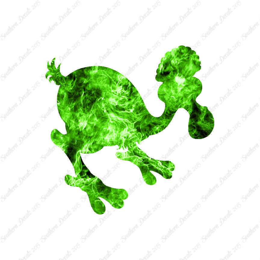 Dodo Bird Kiwi