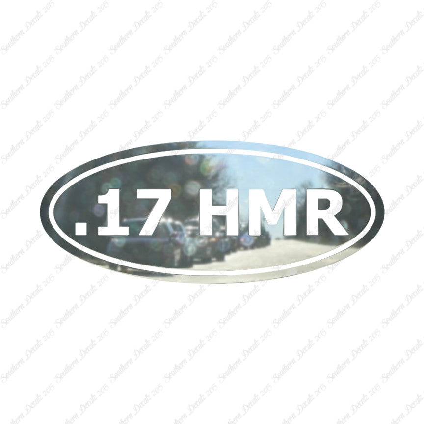 Ammo .17 HMR Rifle