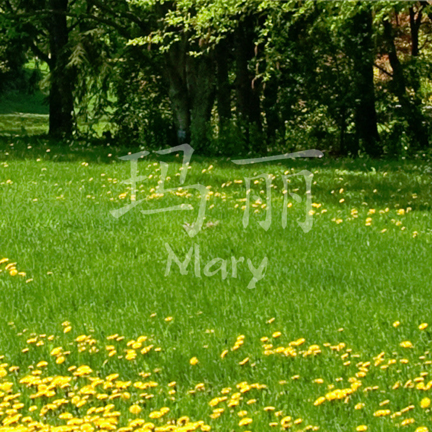 Chinese Name Symbols "Mary"