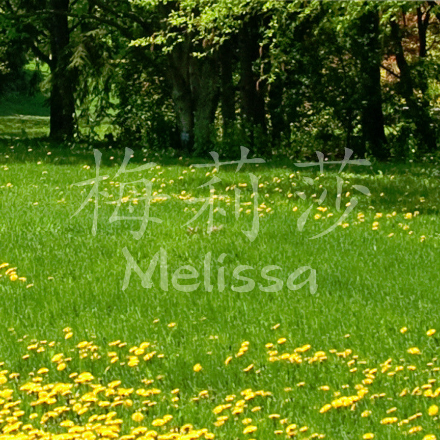 Chinese Name Symbols "Melissa"