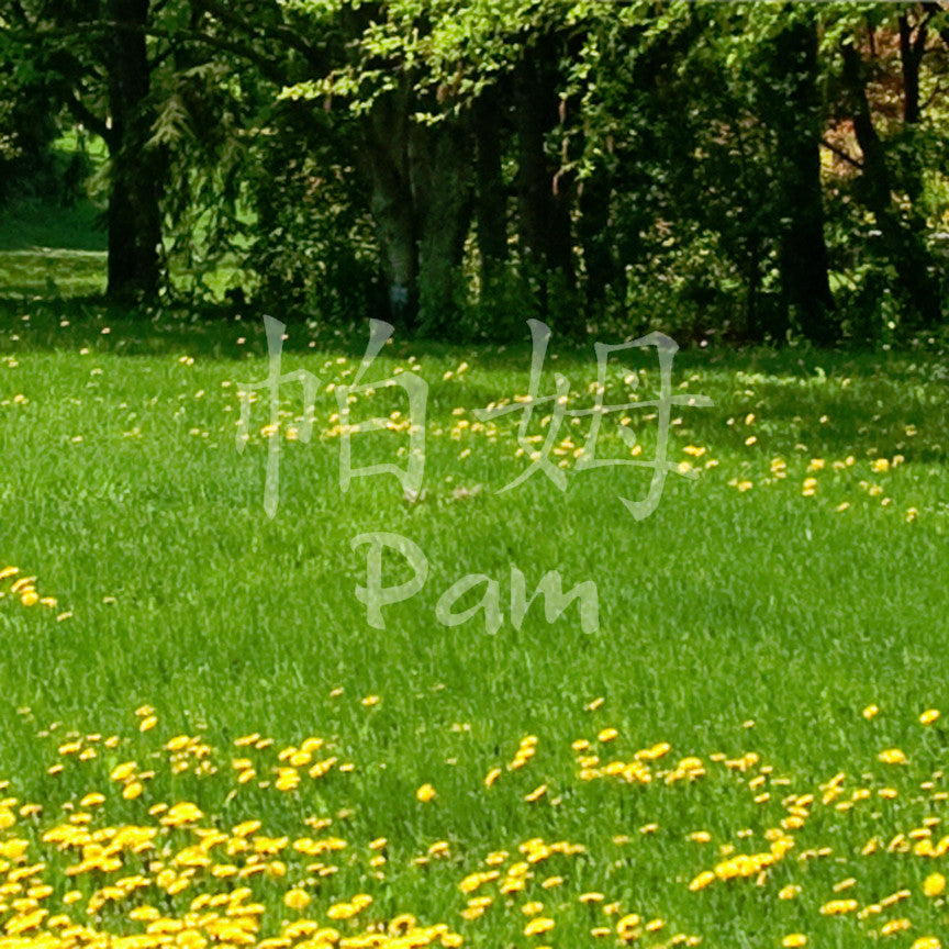 Chinese Name Symbols "Pam"