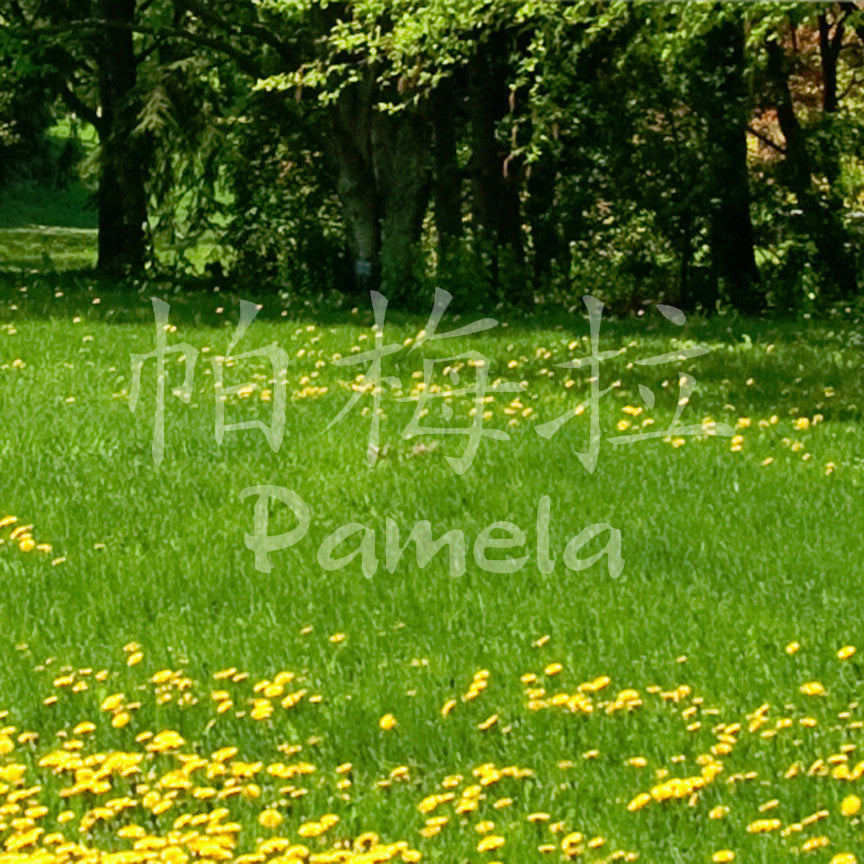 Chinese Name Symbols "Pamela"