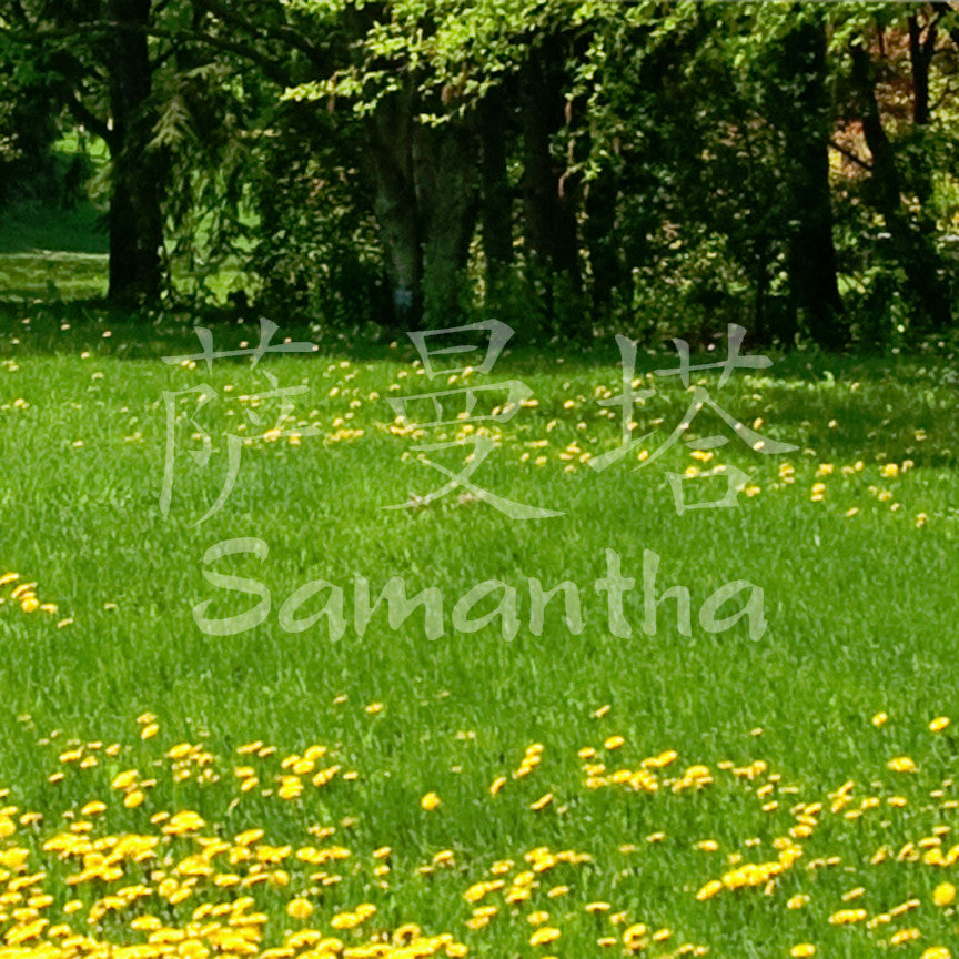 Chinese Name Symbols "Samantha"