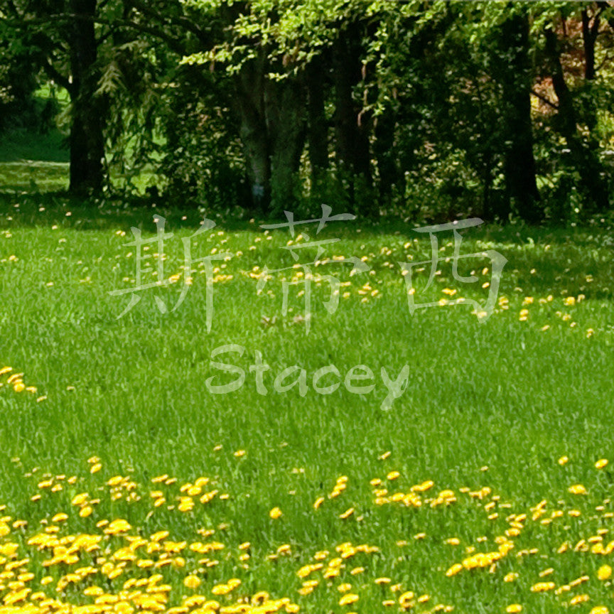 Chinese Name Symbols "Stacey"