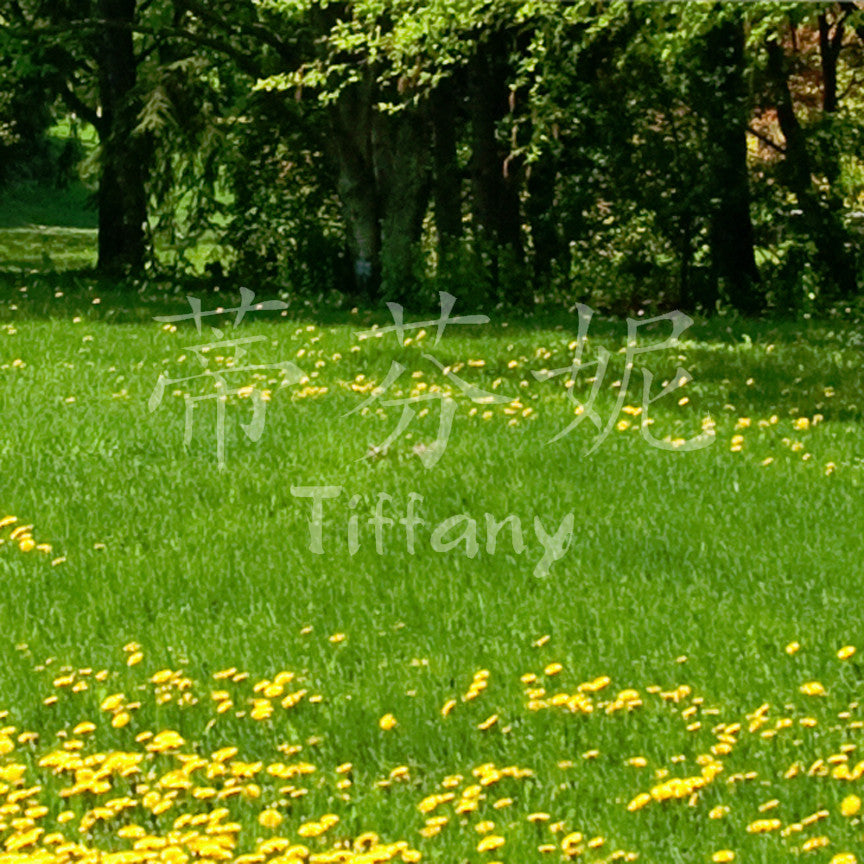 Chinese Name Symbols "Tiffany"