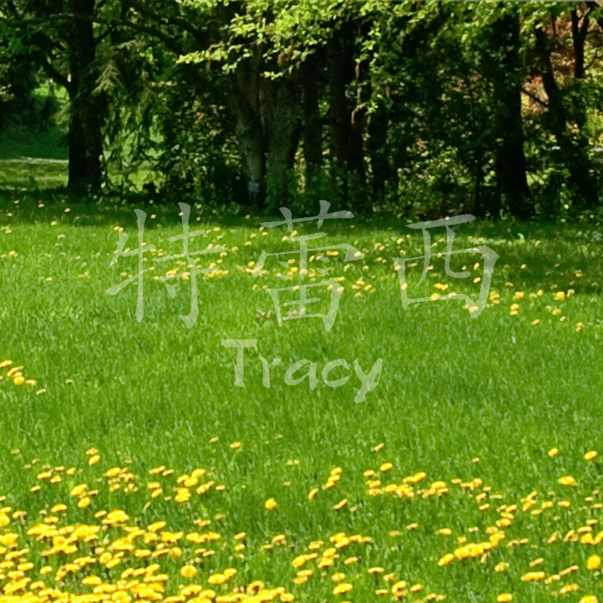 Chinese Name Symbols "Tracy"