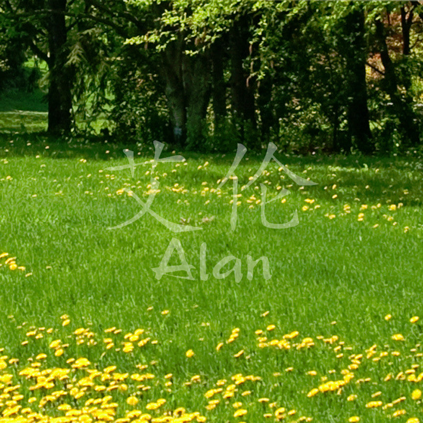 Chinese Name Symbols "Alan"