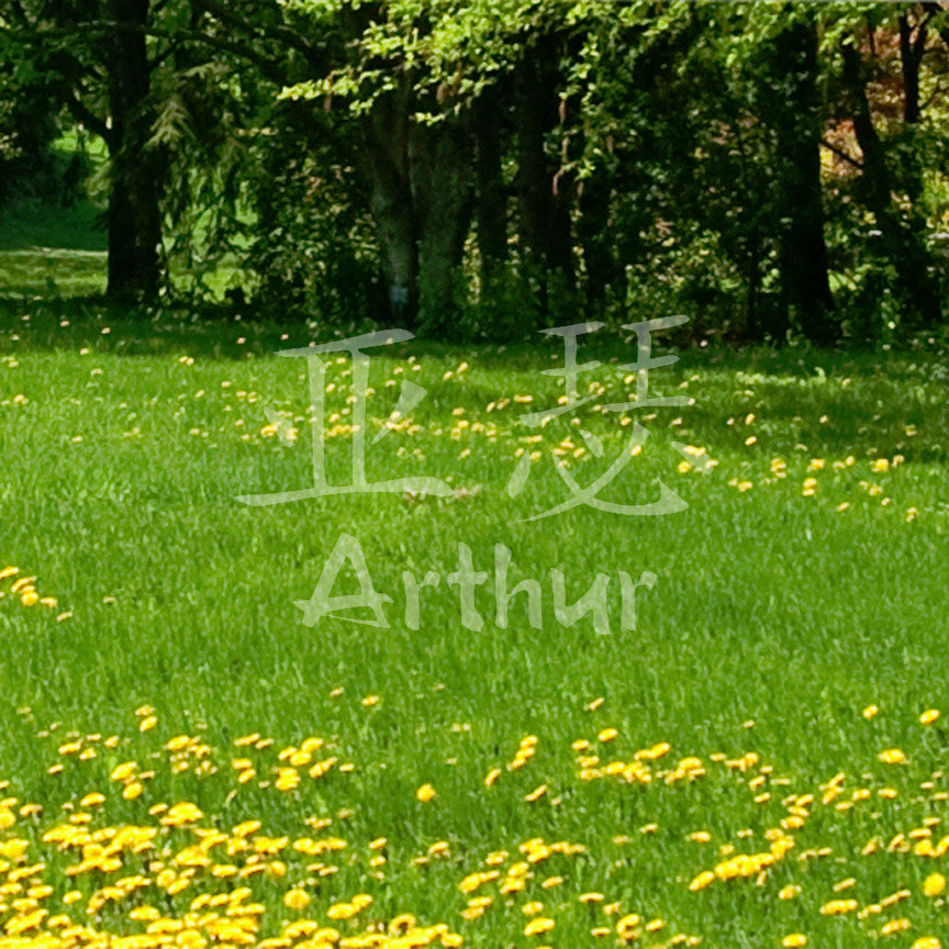 Chinese Name Symbols "Arthur"