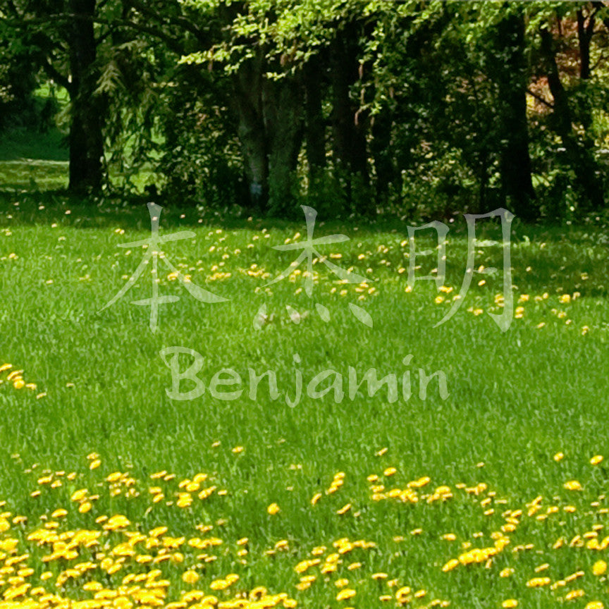 Chinese Name Symbols "Benjamin"