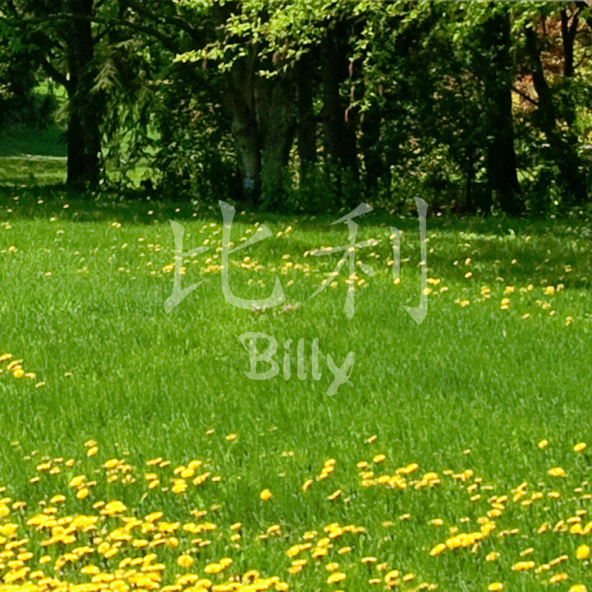 Chinese Name Symbols "Billy"