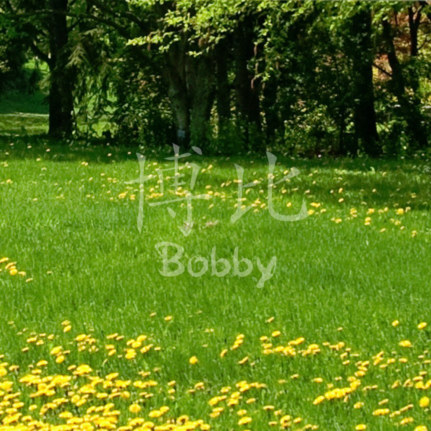Chinese Name Symbols "Bobby"