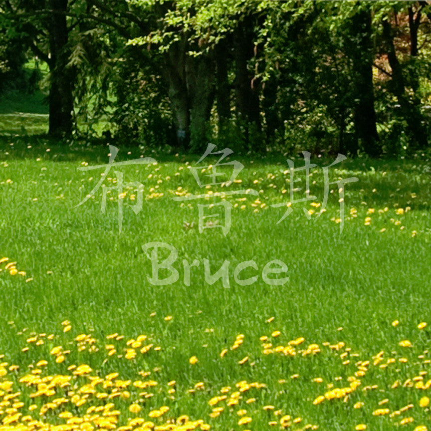 Chinese Name Symbols "Bruce"