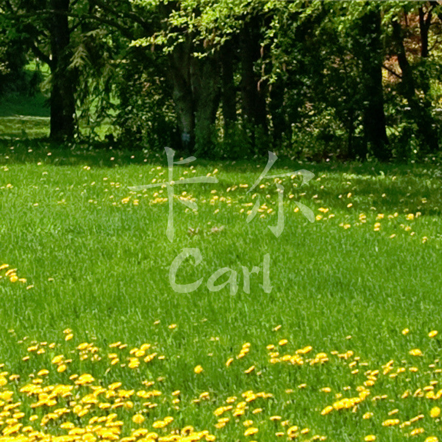 Chinese Name Symbols "Carl"
