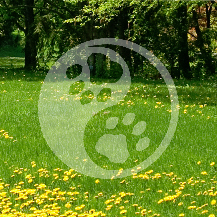 Dog Paw Print Yin Yang