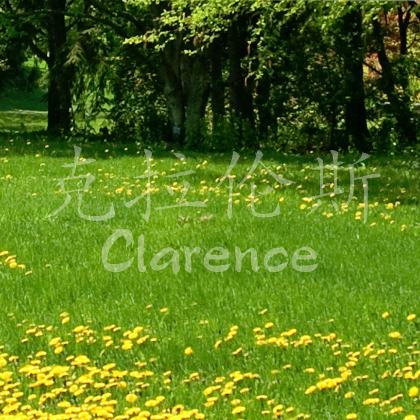 Chinese Name Symbols "Clarence"